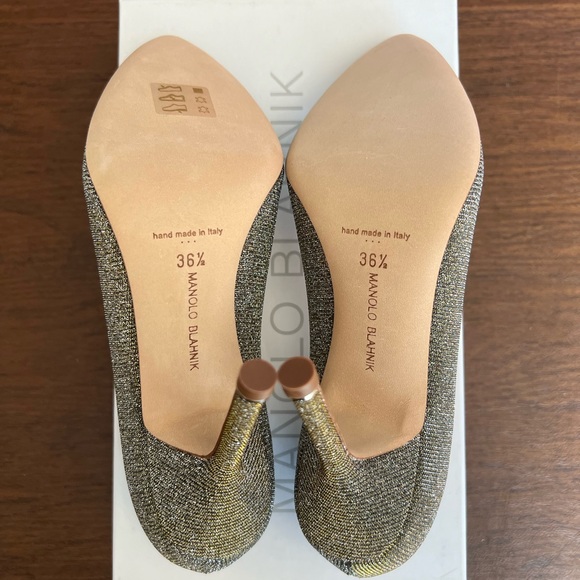 Manolo Blahnik Hangisi Pointed Toe Pump - Picture 6 of 9